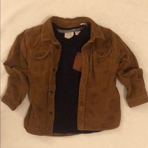 Toddler corduroy dinosaur button down Zara